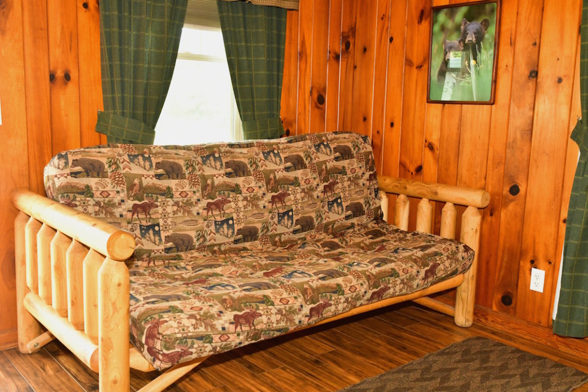 sleeper sofa in cottage in townsend tn